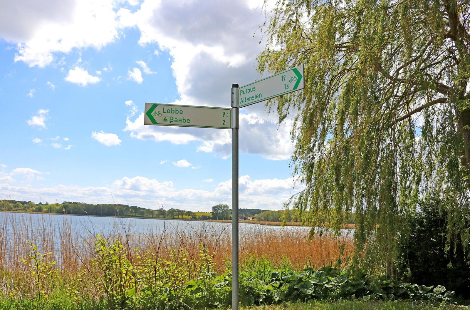 Radwegweiser an einem See mit Blick auf einen Weidenbaum und das gegenüberliegende Ufer.