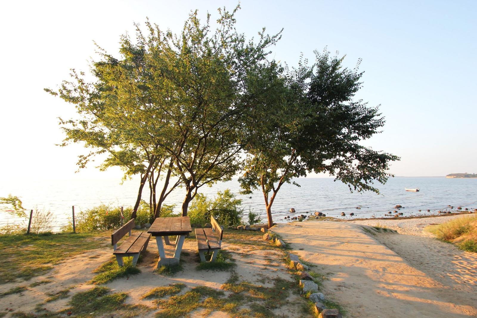 Holztisch und Bänke unter Bäumen am Strand. Blick auf ruhiges Wasser und eine kleine Insel.