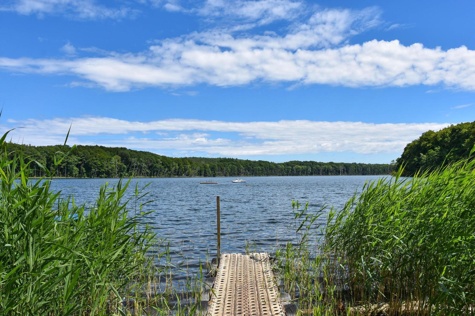 Ein Bootssteg führt zu einem See mit Booten und Wald im Hintergrund.