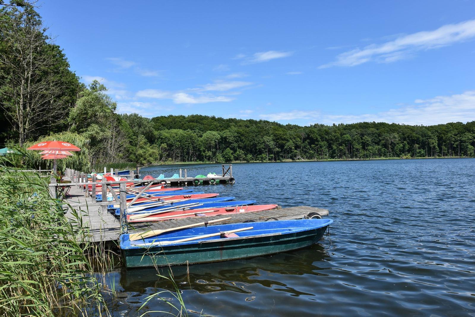 Bootshafen mit mehreren Ruderbooten am Ufer eines Sees unter blauem Himmel.