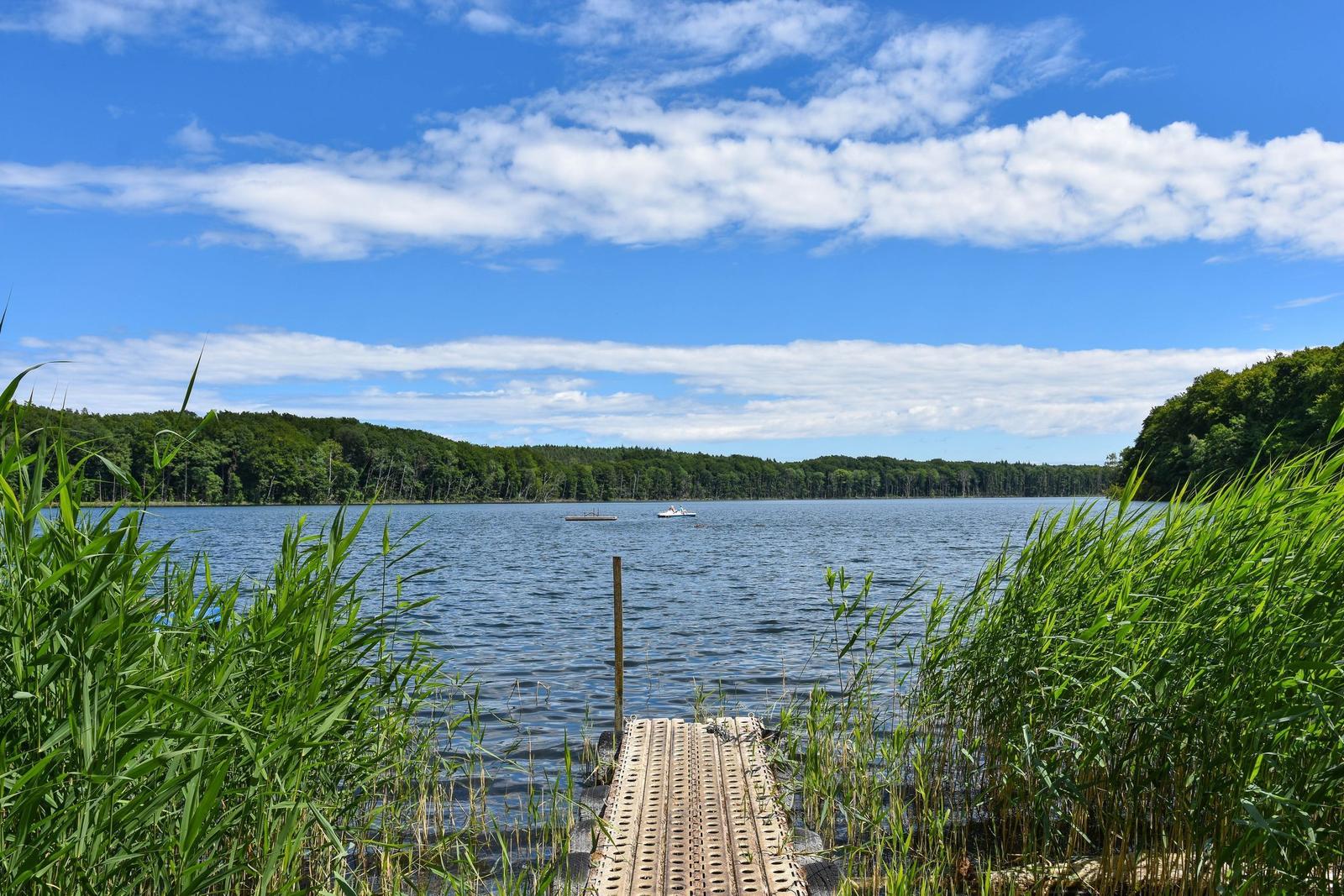 Ein Steg führt zu einem See mit Booten und grüner Umgebung.