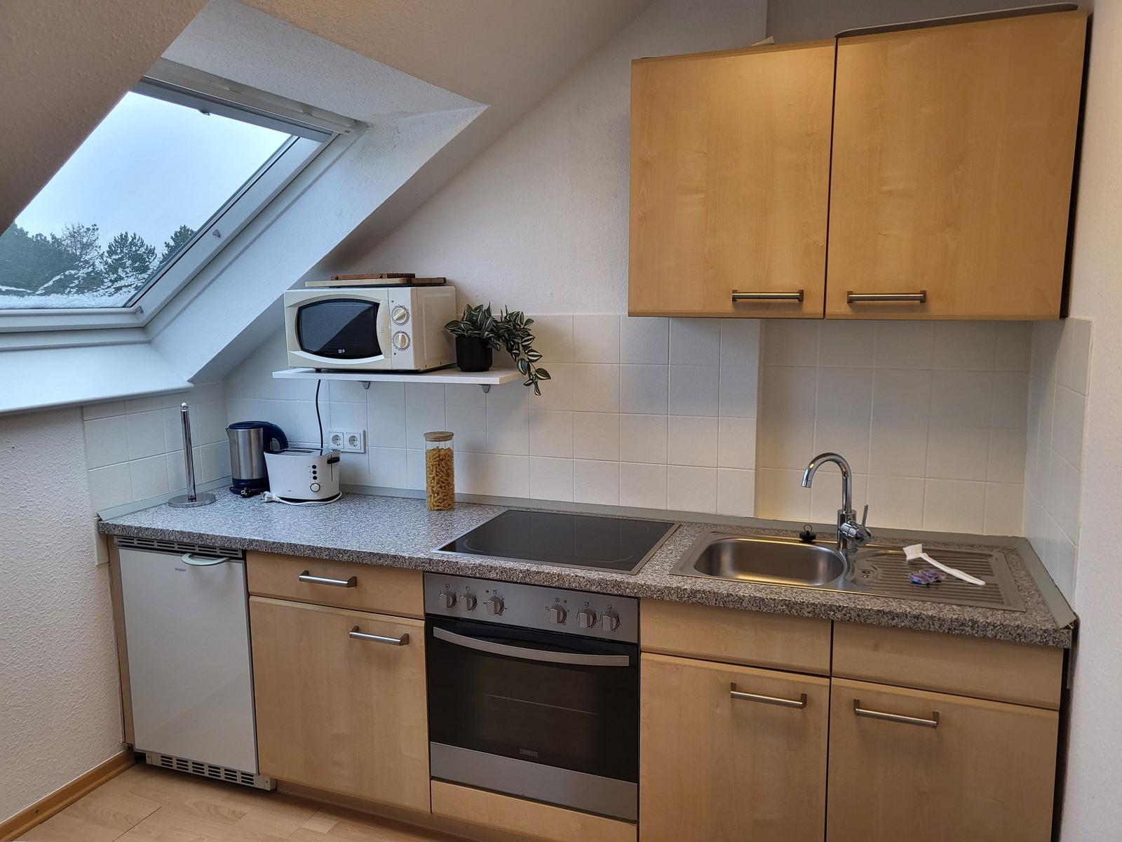 Küche mit Dunstabzug, Herd, Spüle und Dachfenster mit Blick auf Wald.