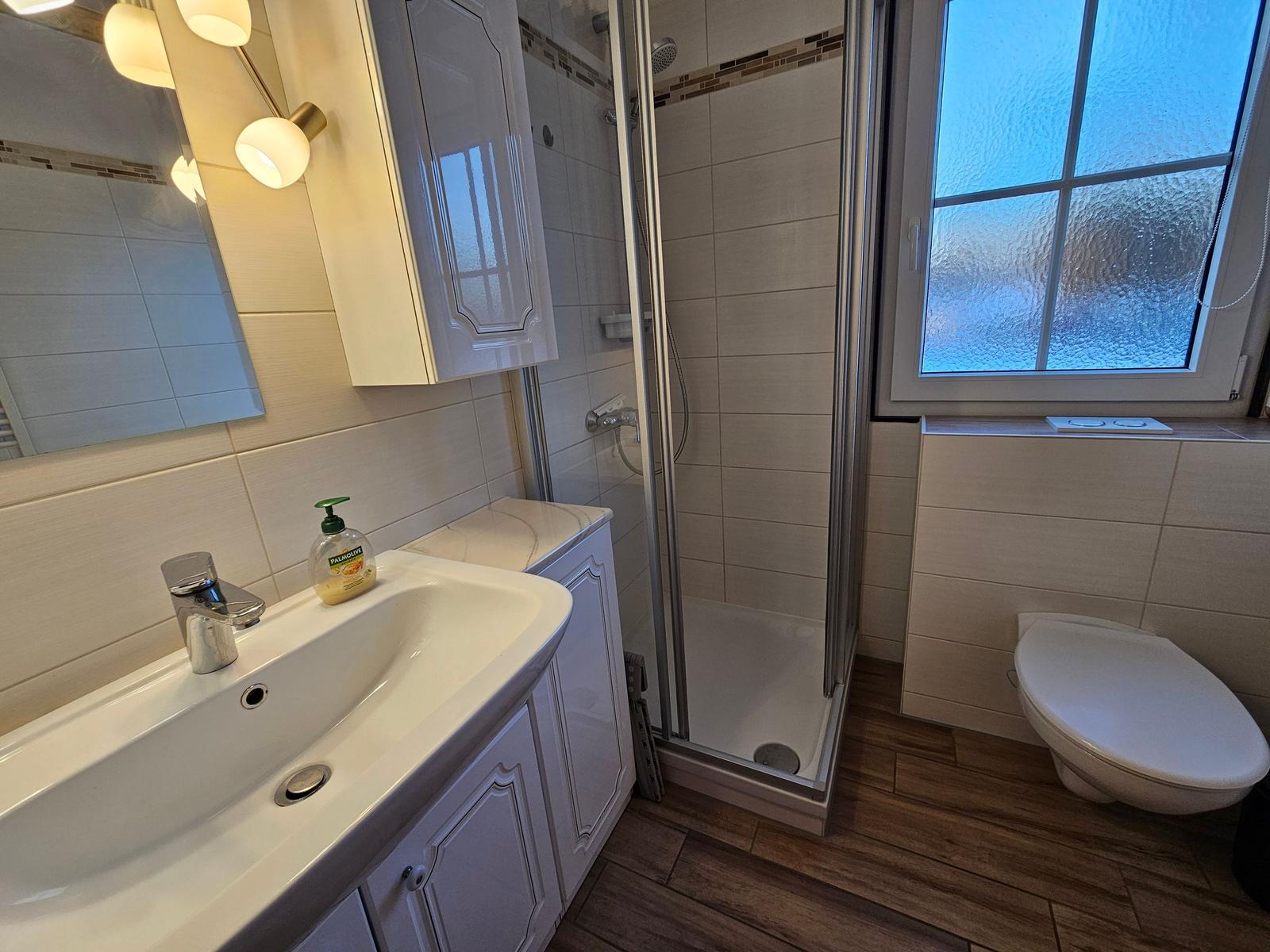 Badezimmer mit Dusche, Waschbecken und Toilette. Fenster mit getöntem Glas.