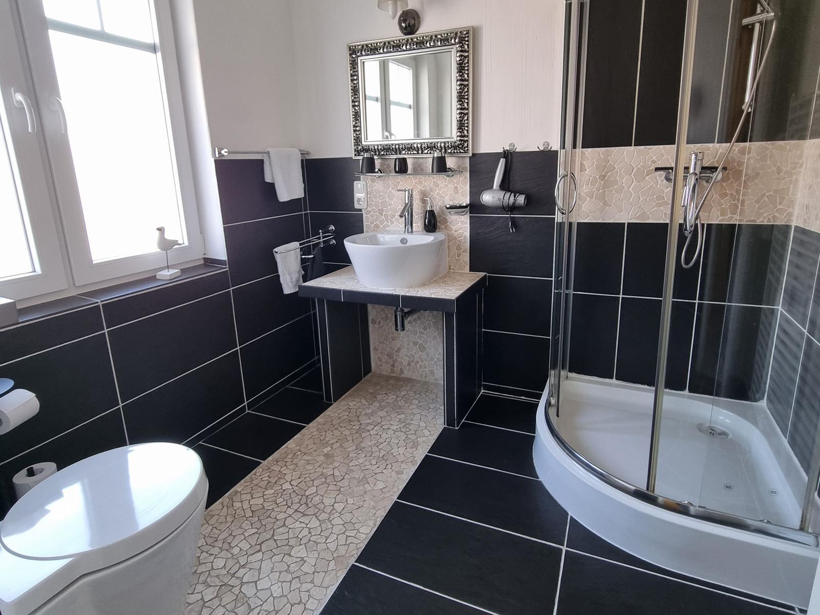 Bathroom with shower, sink and toilet. Black tiles and mosaic tiles.