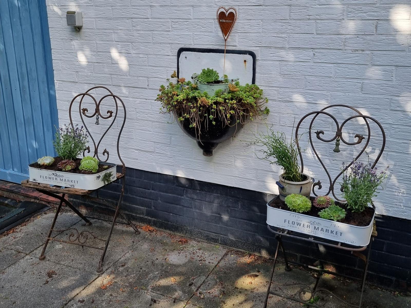 Two chairs with plants before white wall with hanging plant and heart sign.