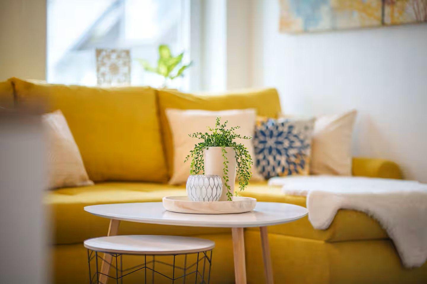Gelber Sofa mit Kissen und Pflanzen auf runden Tischen.