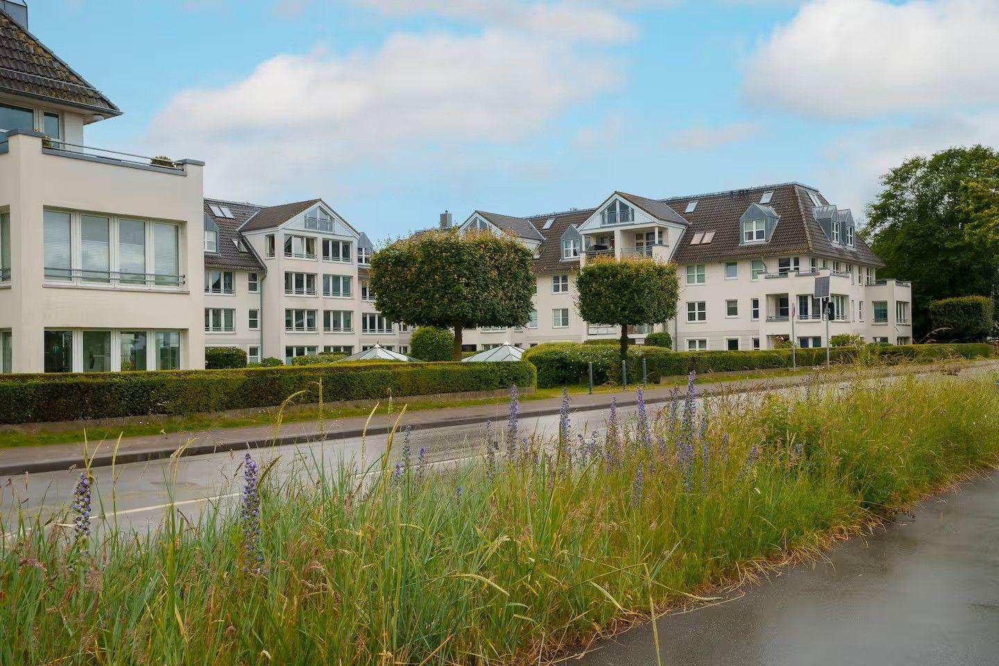 Moderne Wohnhäuser mit gepflegten Grünflächen und blühenden Pflanzen an der Straße.