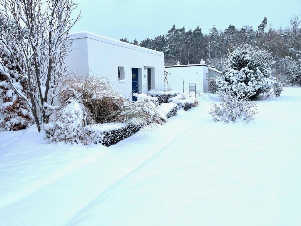 Schnee bedeckt einen weißen Gartenweg vor einem kleinen Haus mit blauer Tür.