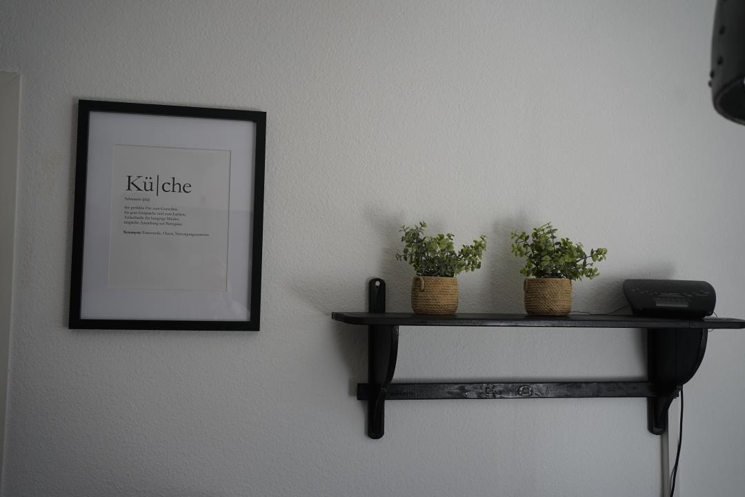 Wall with framed text and black shelf holding plants and device.