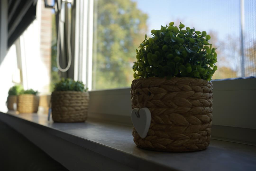 Several woven plant pots with green plants sit on the windowsill.