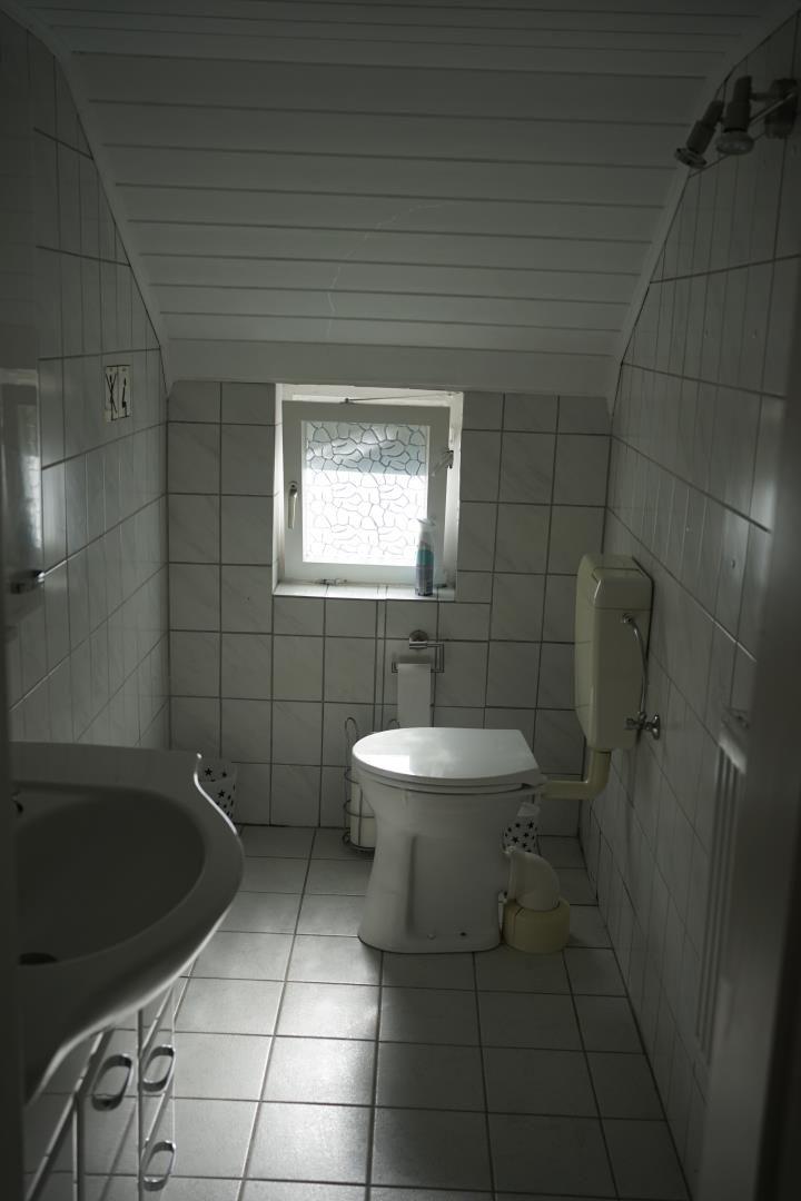Bathroom with toilet, sink, and window with pattern.