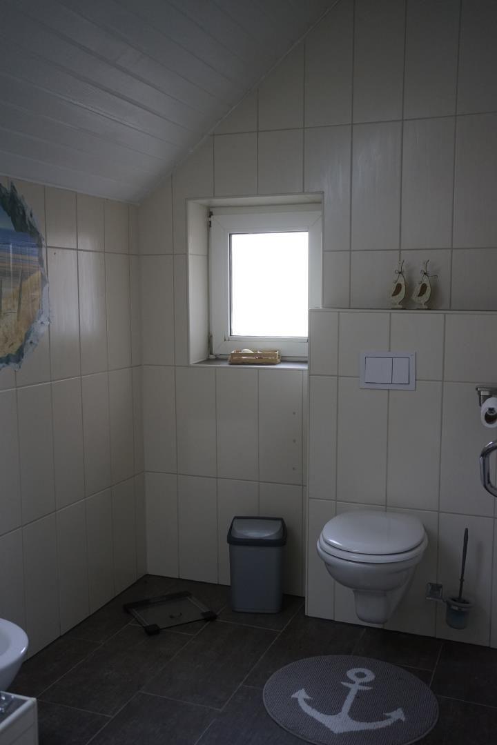 Bathroom with toilet, window, trash bin, and anchor rug.