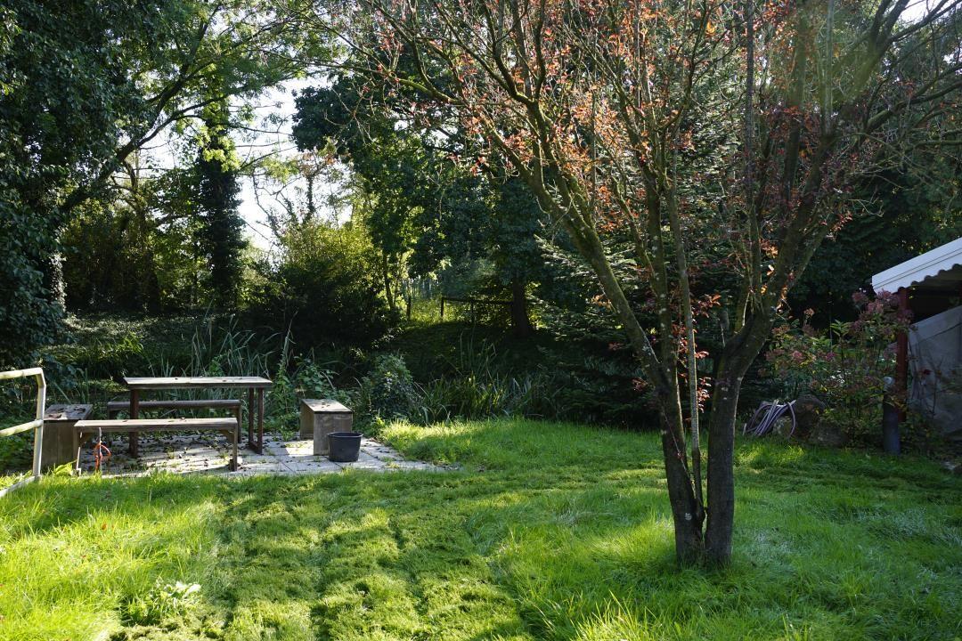 Backyard with table, bench, and tree. Lawn area and dense forest in the background.