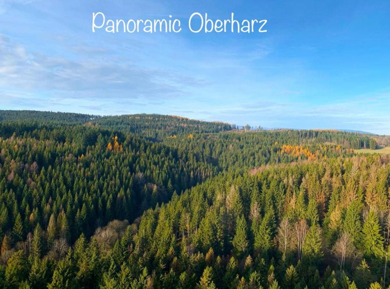 Panoramablick auf den Oberharz mit dichten Wäldern und bewölktem Himmel.