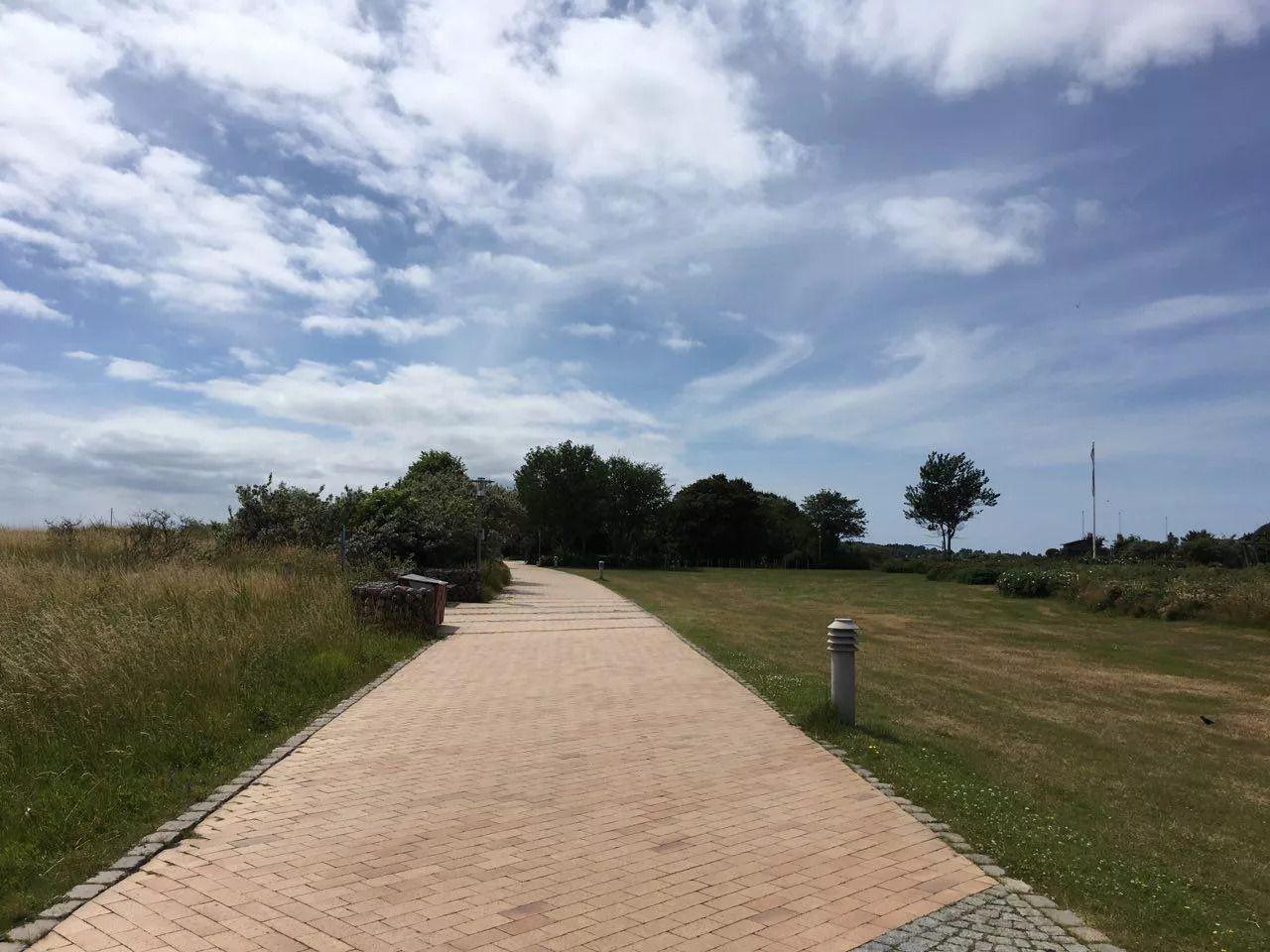Ein gepflasterter Weg führt durch Grasland und Bäume unter einem bewölkten Himmel.