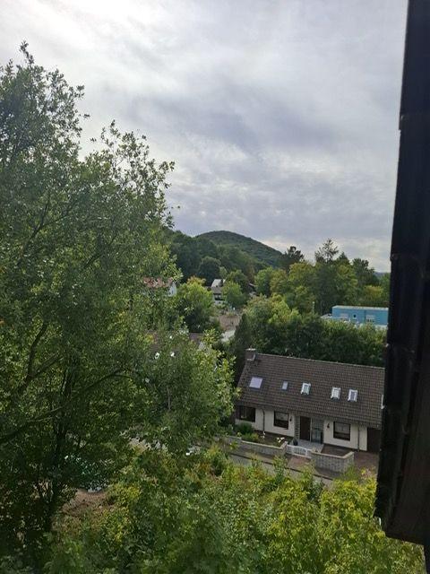 Blick von oben auf eine grüne Landschaft mit Häusern und einem Hügel.