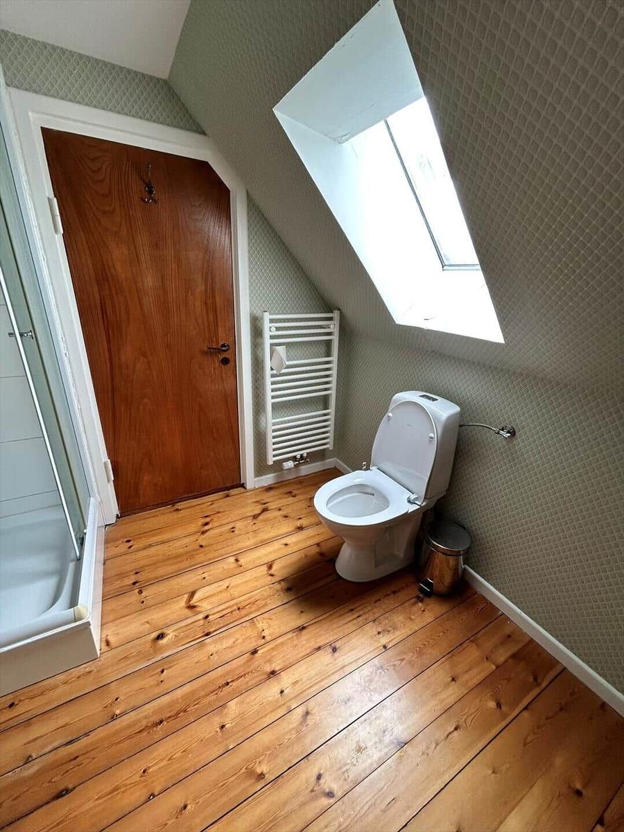 Shower, toilet, and heater in an attic bathroom with wooden floor and skylight.