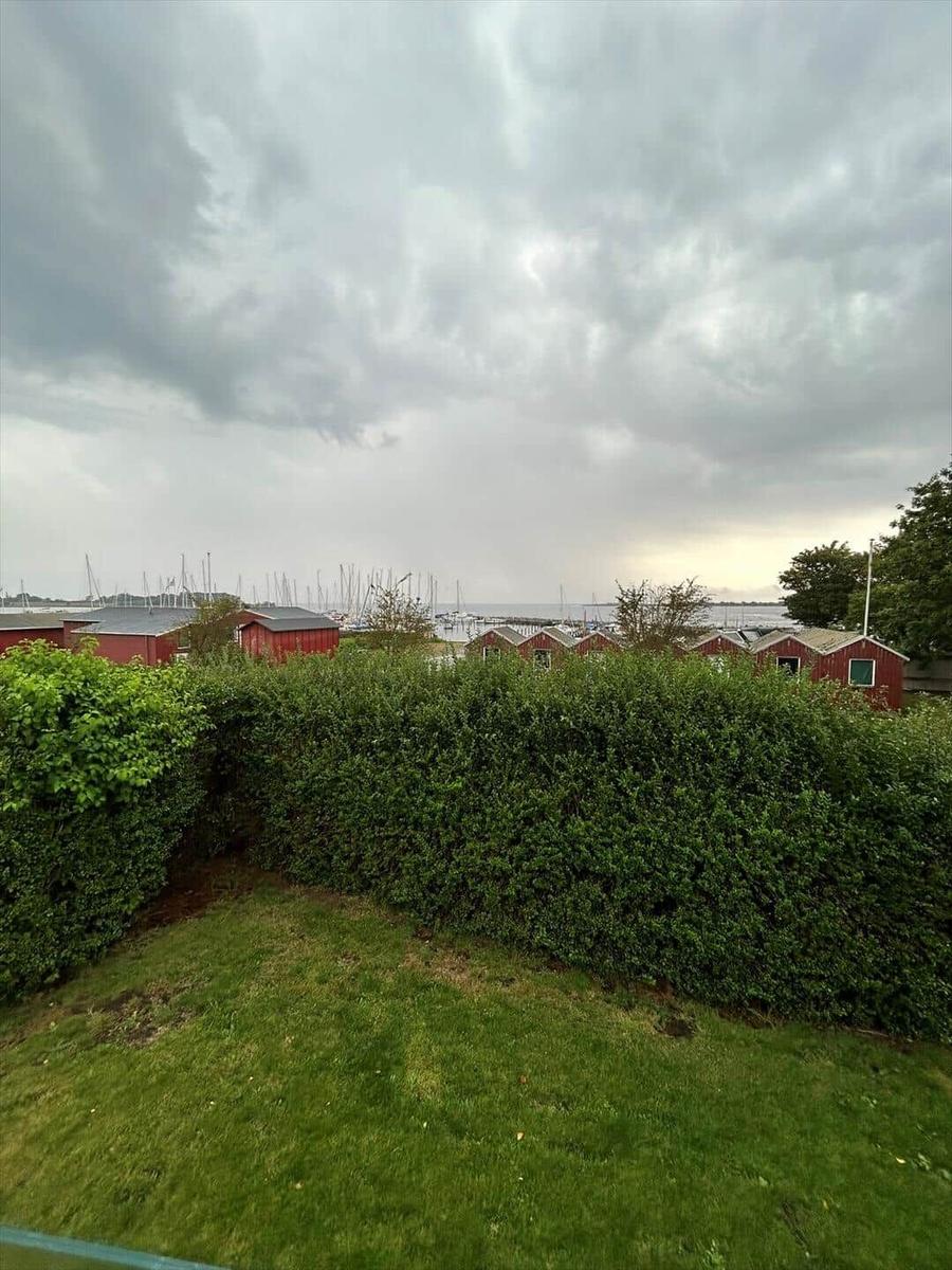 Green lawn area with hedge, behind it red wooden houses and sailboats on water.