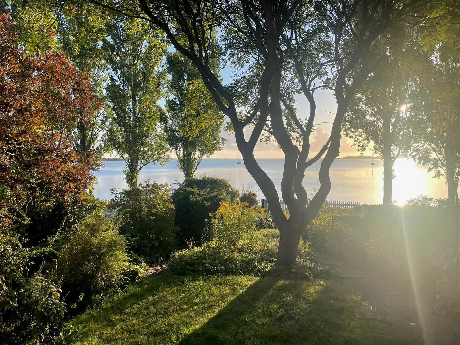 Path through trees leads to a lake with boats and sunlight.