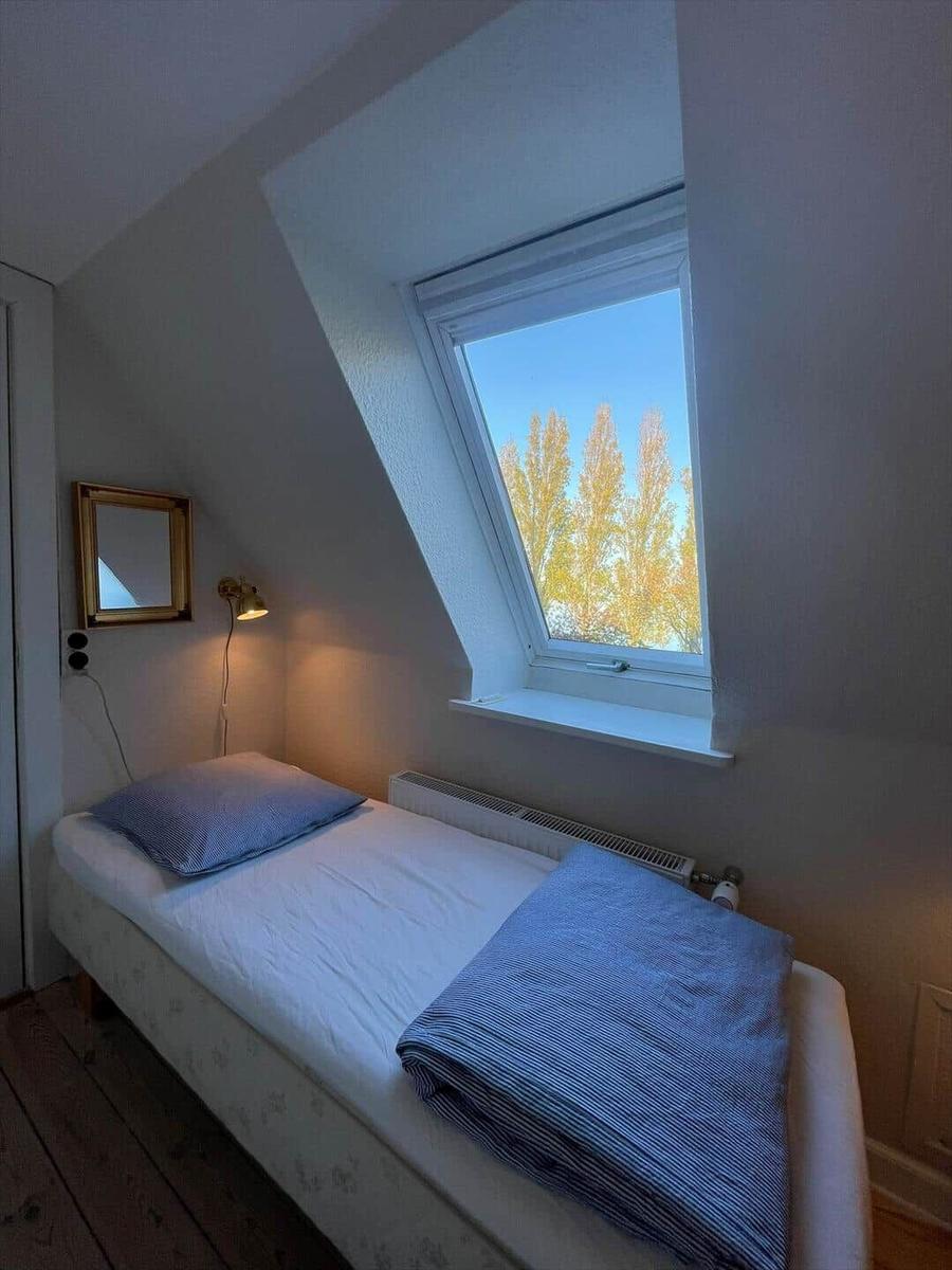 A bedroom with skylight, bed, radiator, and wall mirror.