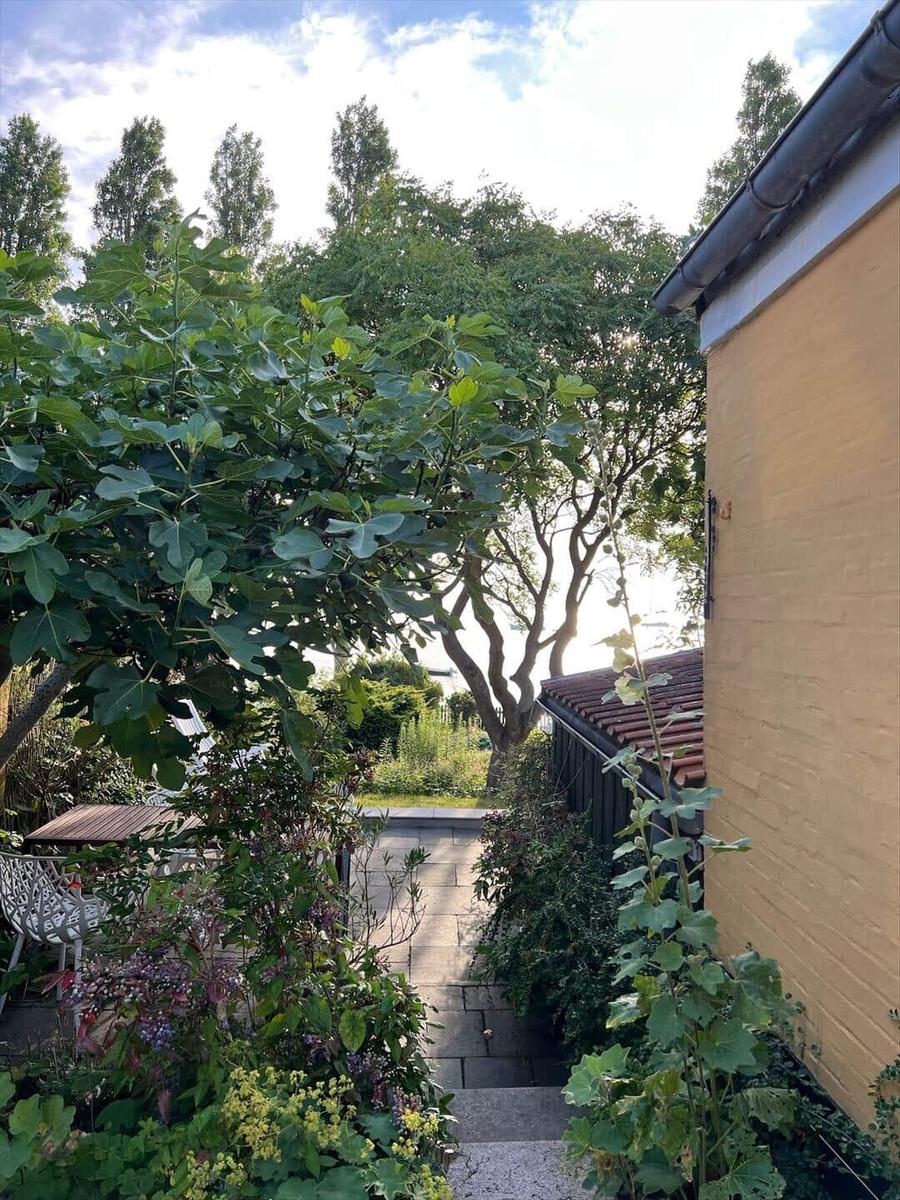 Pathway with plants and stone slabs leads to a terrace.
