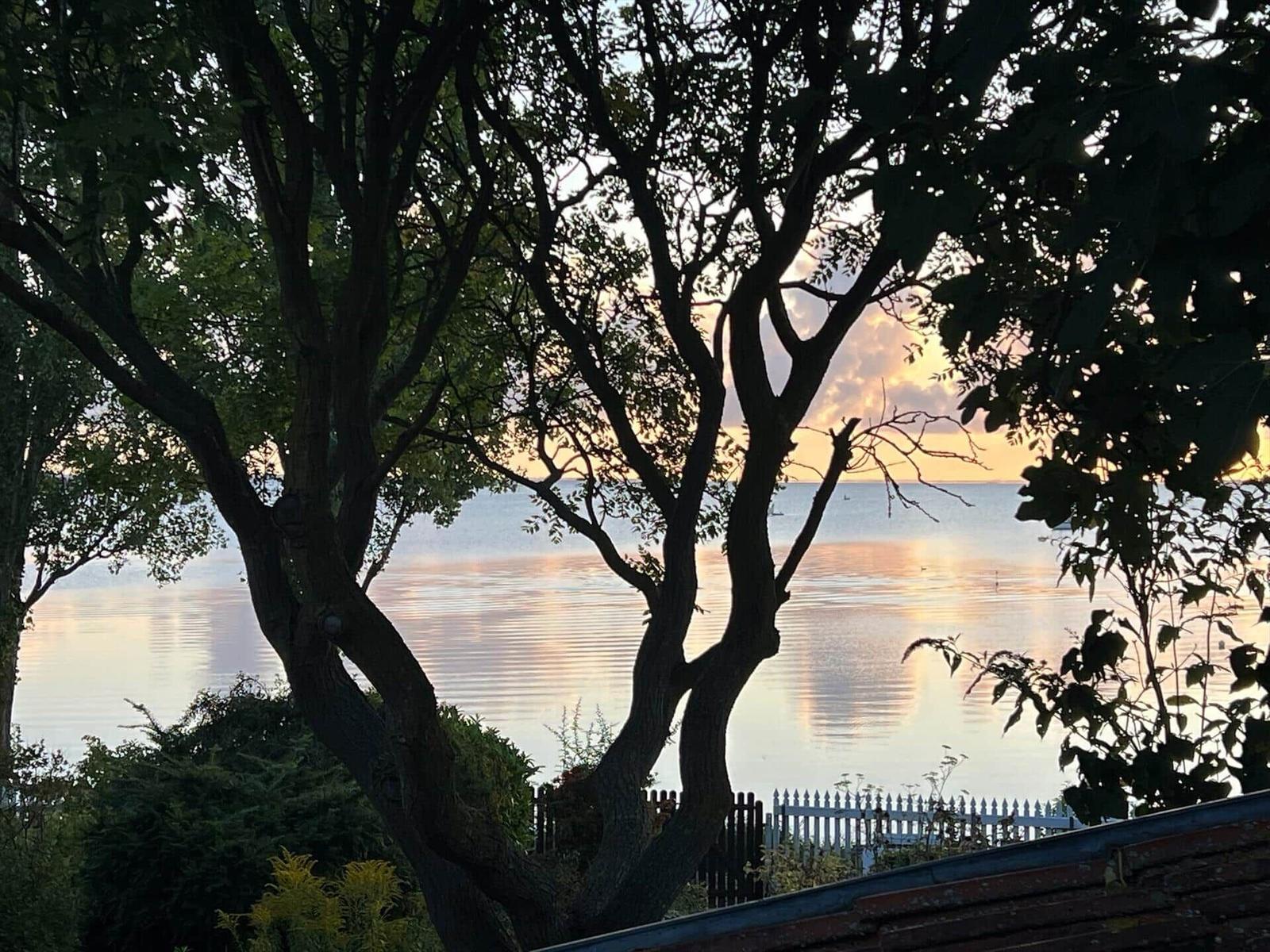 View through trees to a lake at sunset with gentle waves and a white fence.