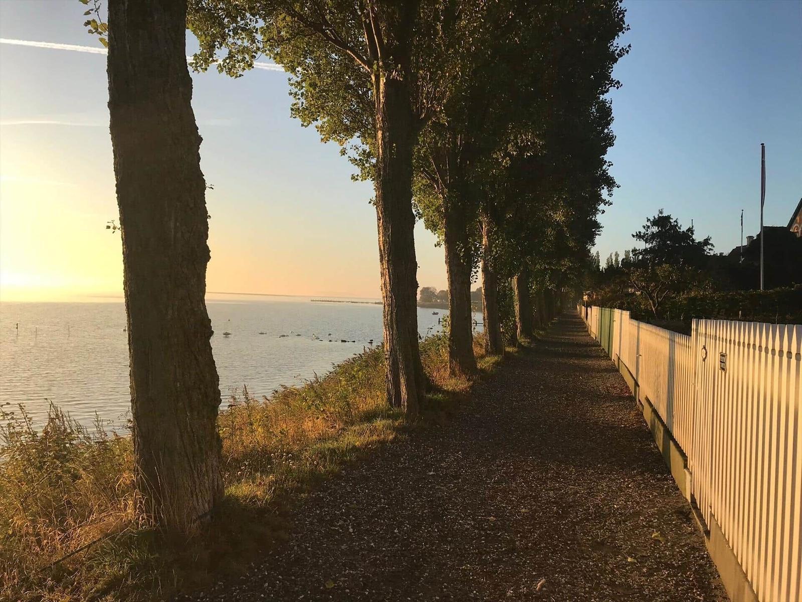Path along the water with trees and white fence line.