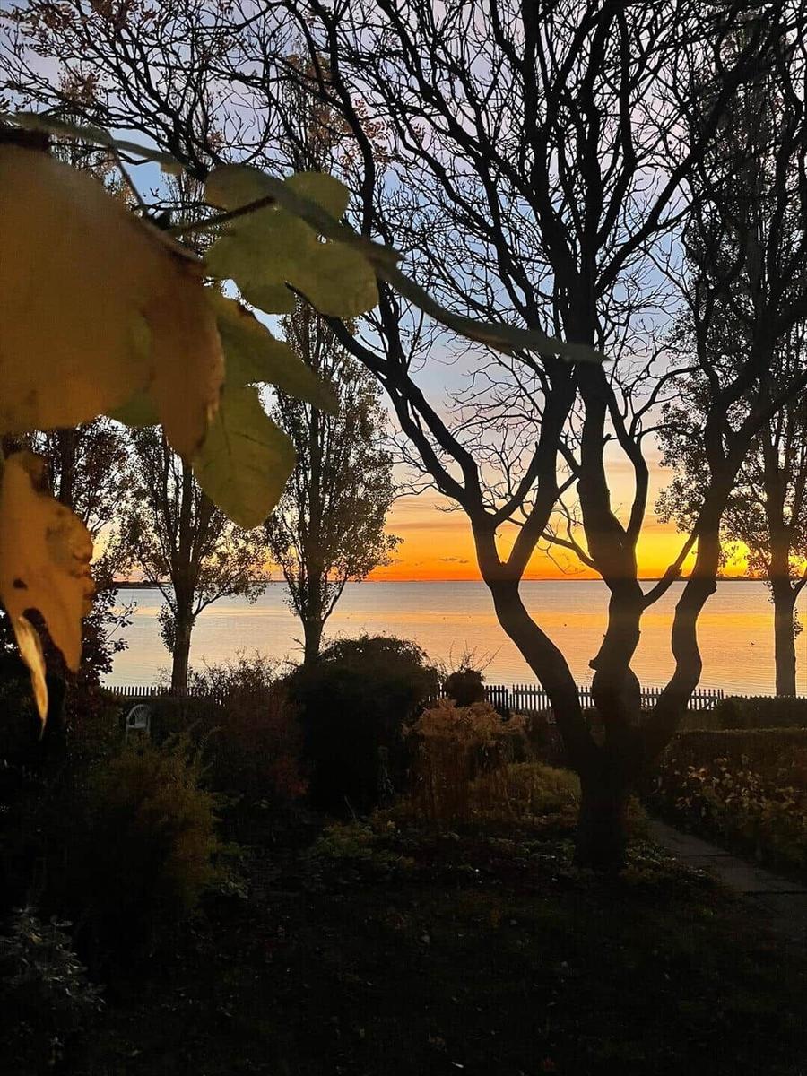 Sunset over water framed by trees and leaves in the foreground.