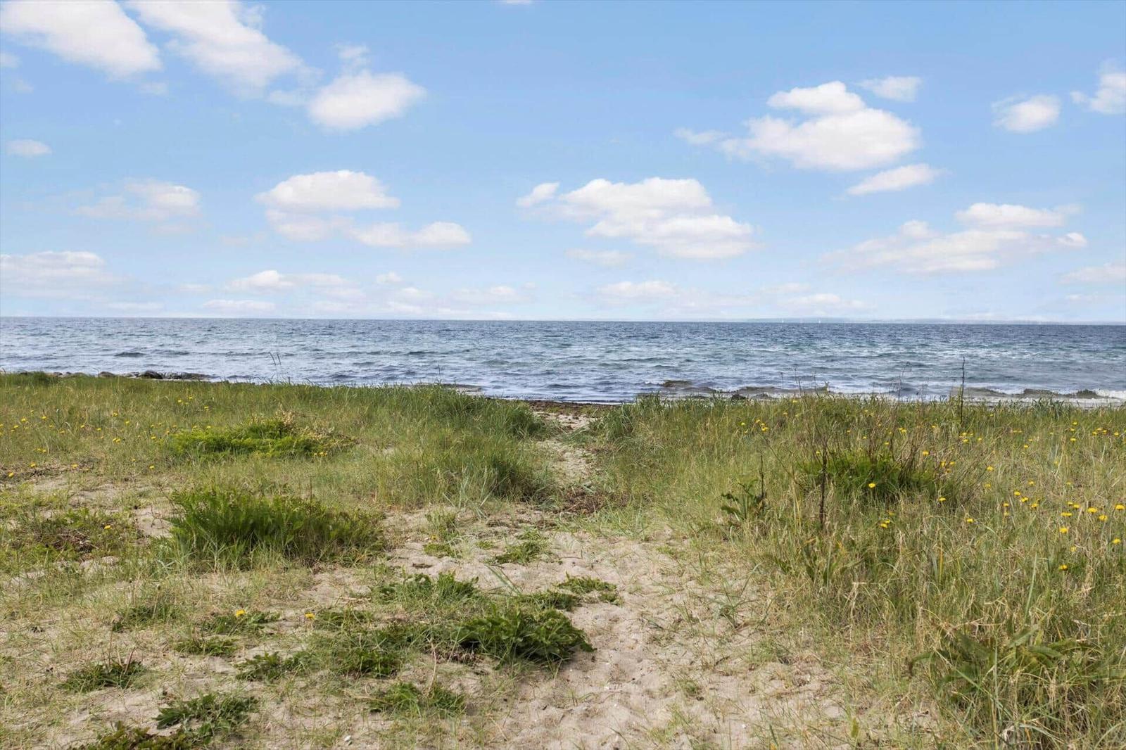 Grasland am Strand mit Blick auf das Meer unter blauem Himmel mit weißen Wolken.