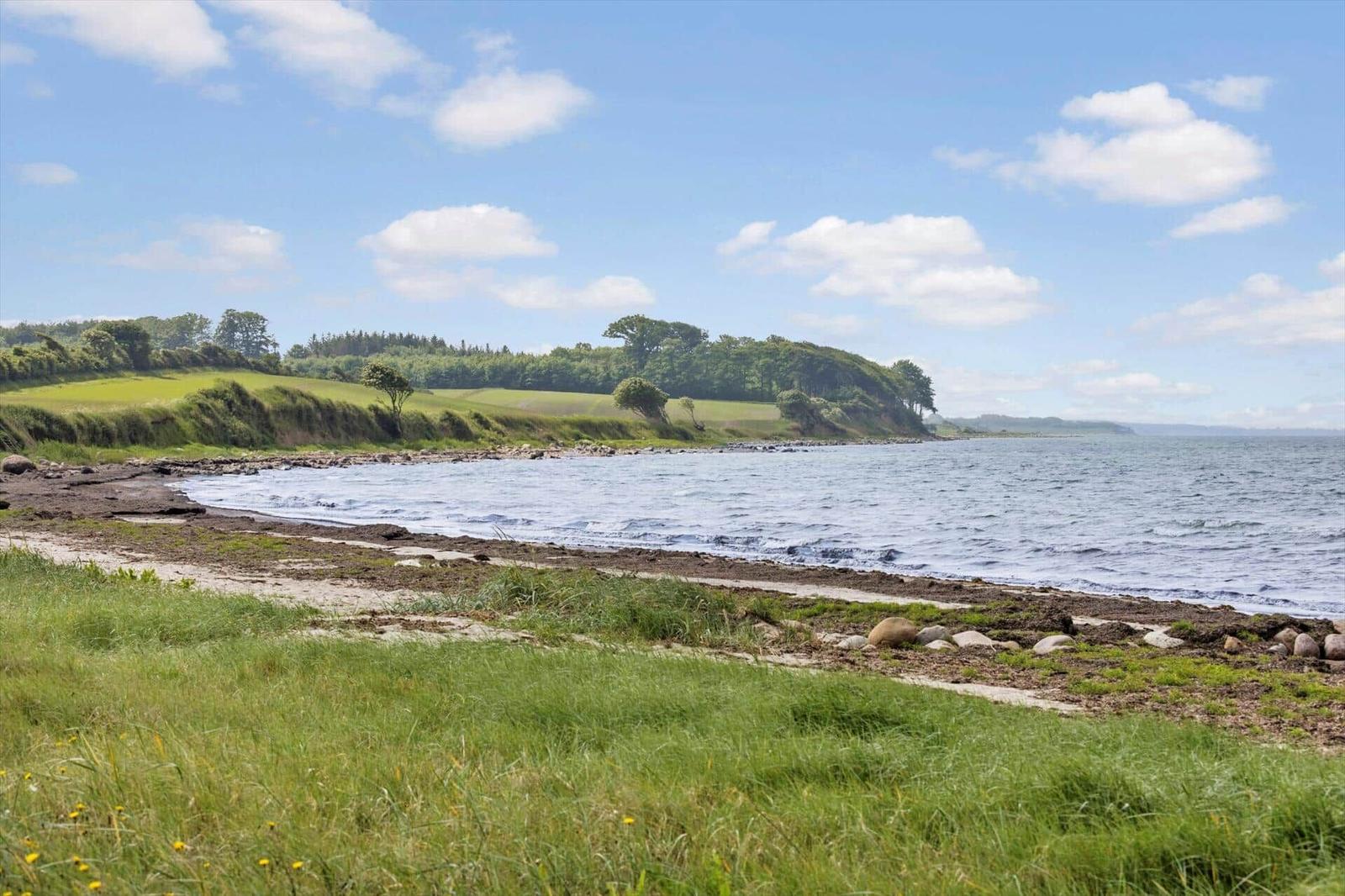 Strand mit Grasland und bewaldetem Hügel im Hintergrund unter blauem Himmel.