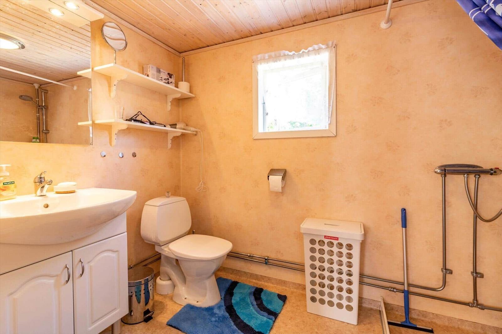 Badezimmer mit Toilette, Waschbecken und Dusche. Fenster, Regal und Teppich sind sichtbar.