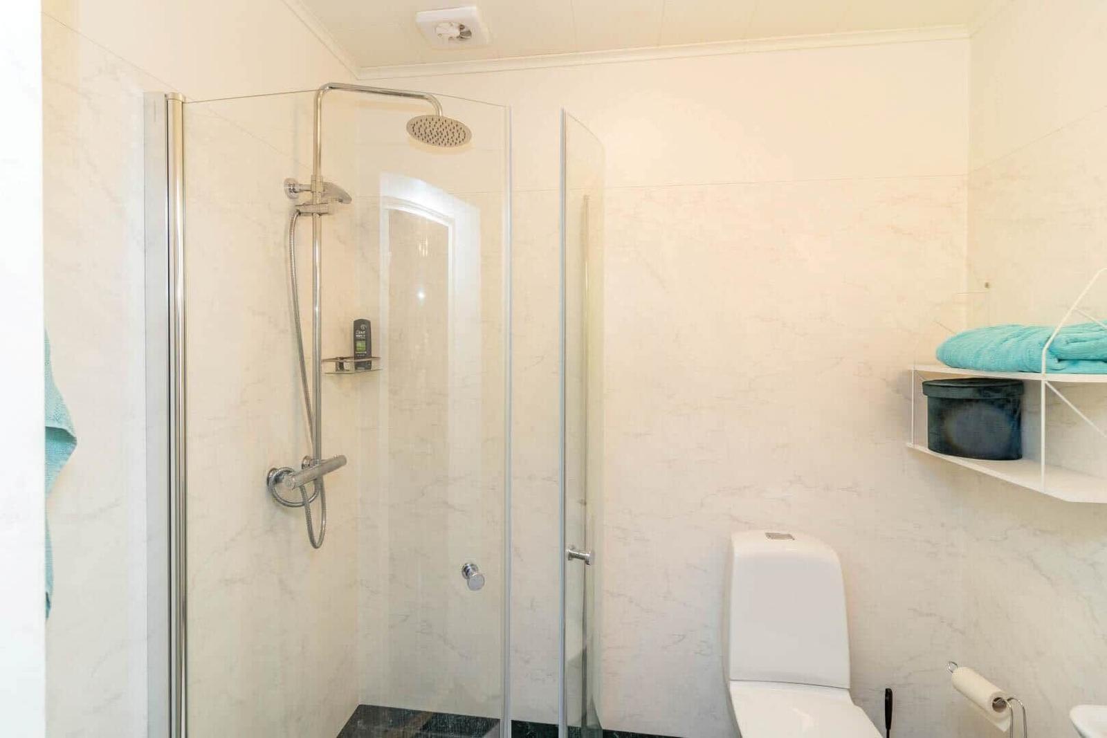 Duschkabine mit Duschbrause, Toilette und Regal mit Handtuch.