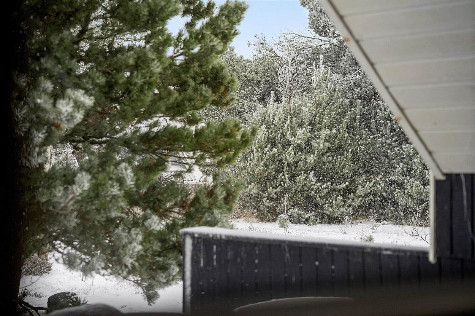Schneefall vor einem Fenster mit Nadelbäumen und schneebedecktem Boden.