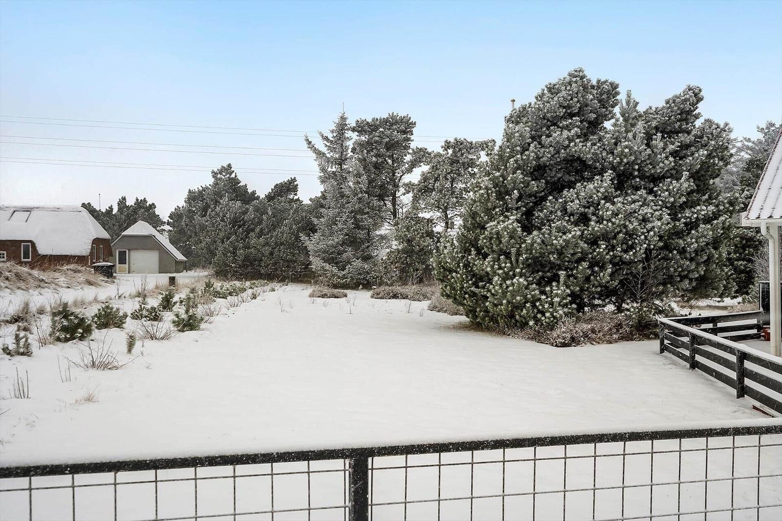 Schneebedeckter Garten mit Bäumen und Häusern im Hintergrund.