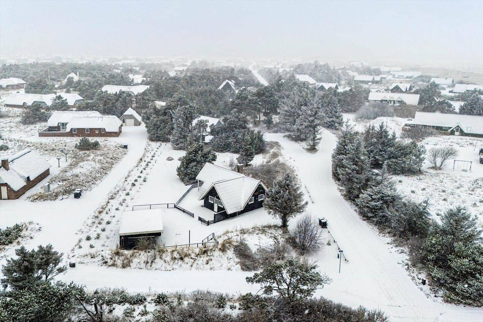 Schneebedeckte Häuser und Bäume in einer ländlichen Umgebung.