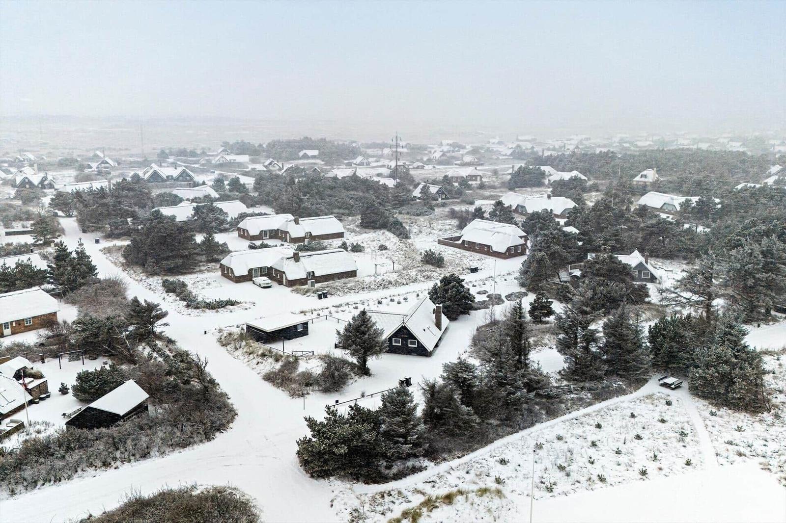 Schneebedeckte Häuser und Bäume in einer ländlichen Umgebung.