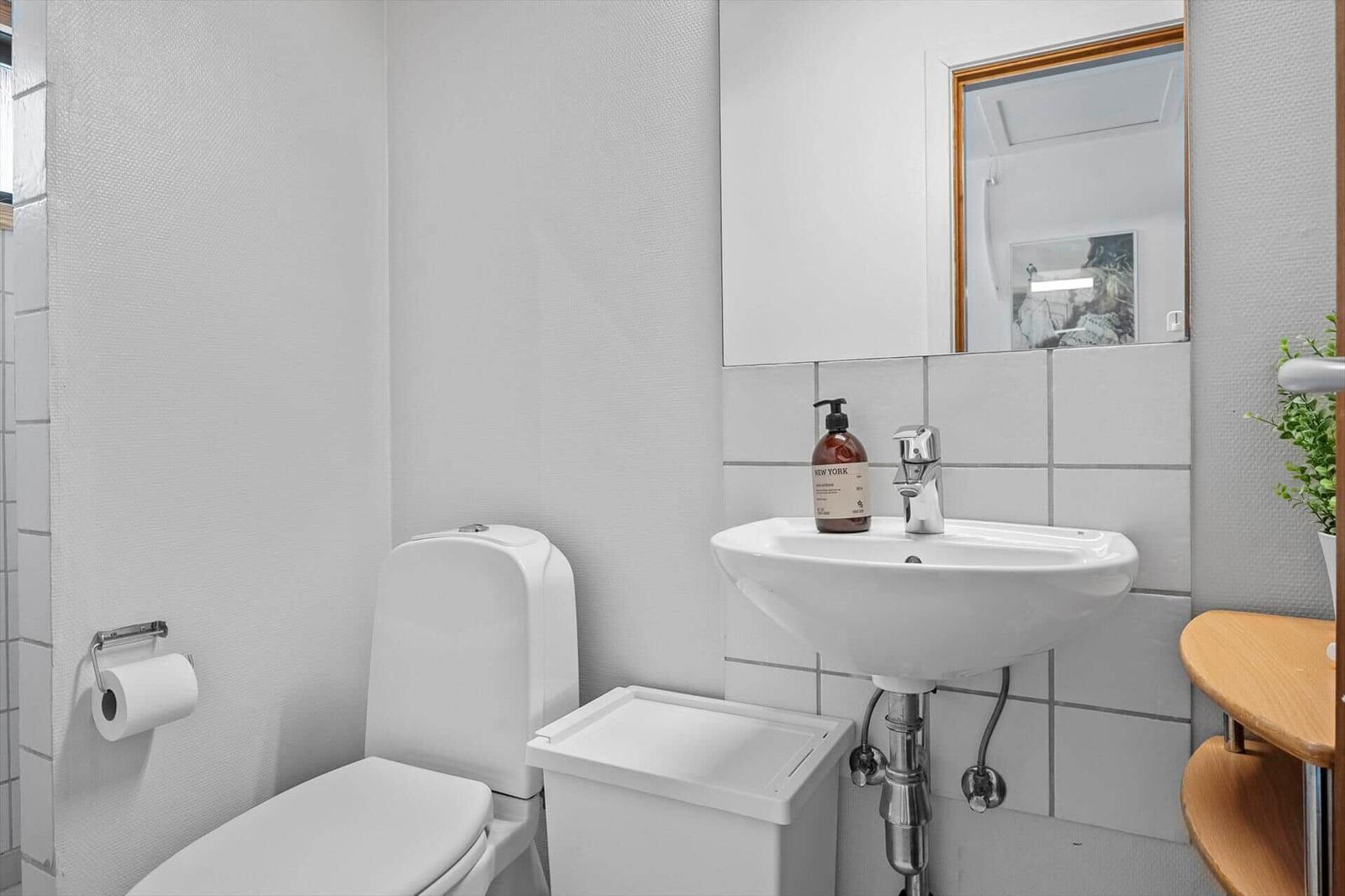 Bathroom with toilet, sink, and mirror. Wooden shelf and plant visible.