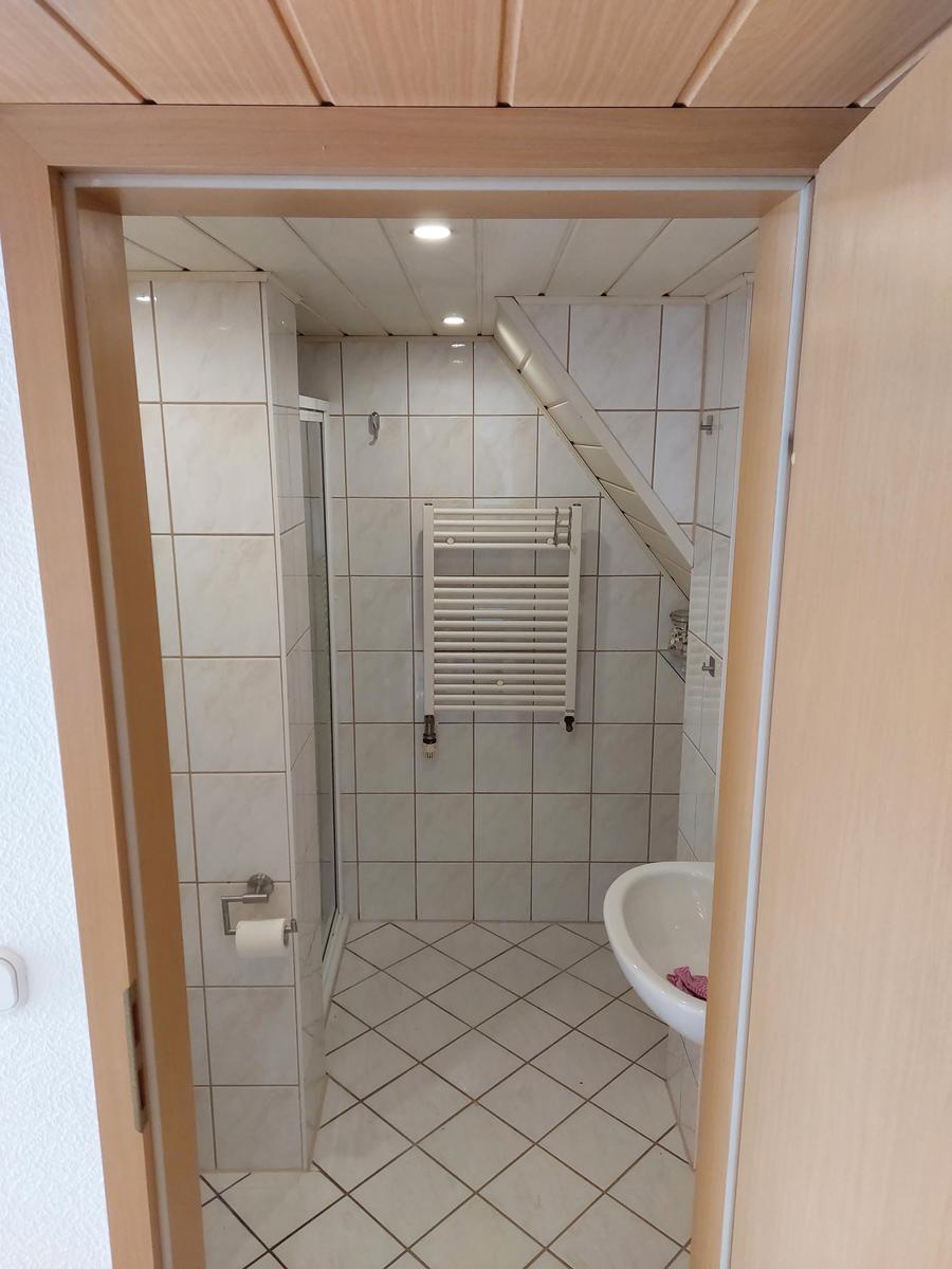 Badezimmer mit Dusche, Waschbecken und Heizkörper an der Wand.