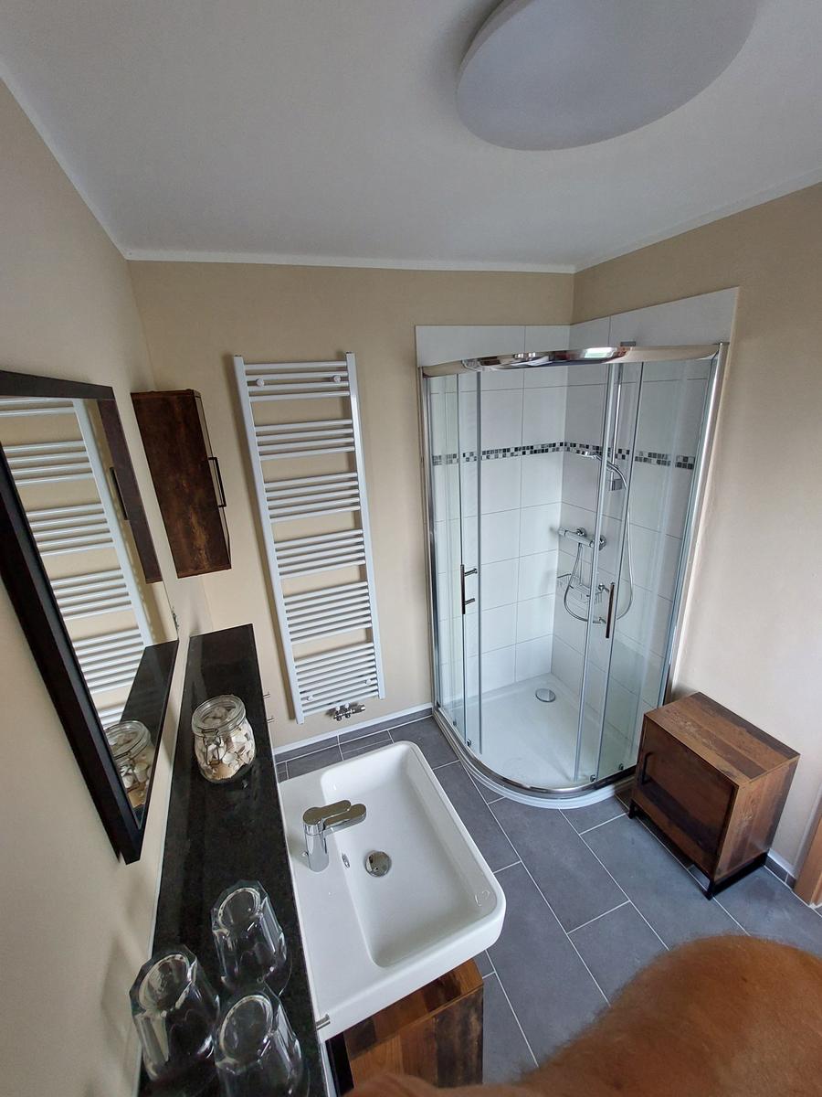 Badezimmer mit Dusche, Waschbecken und Heizkörper.