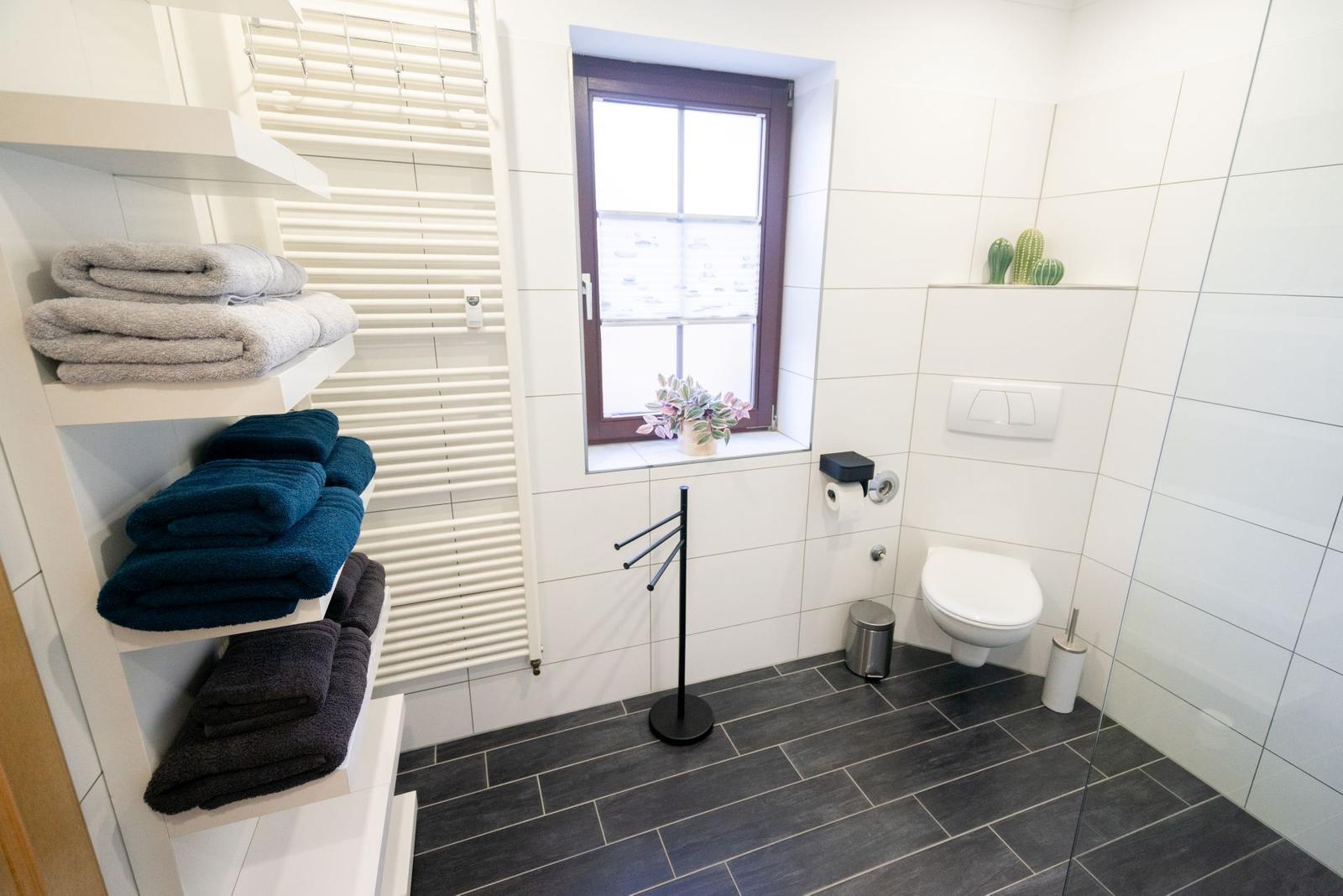 Badezimmer mit Dusche, Toilette und Handtuchregal. Fenster mit Pflanze.