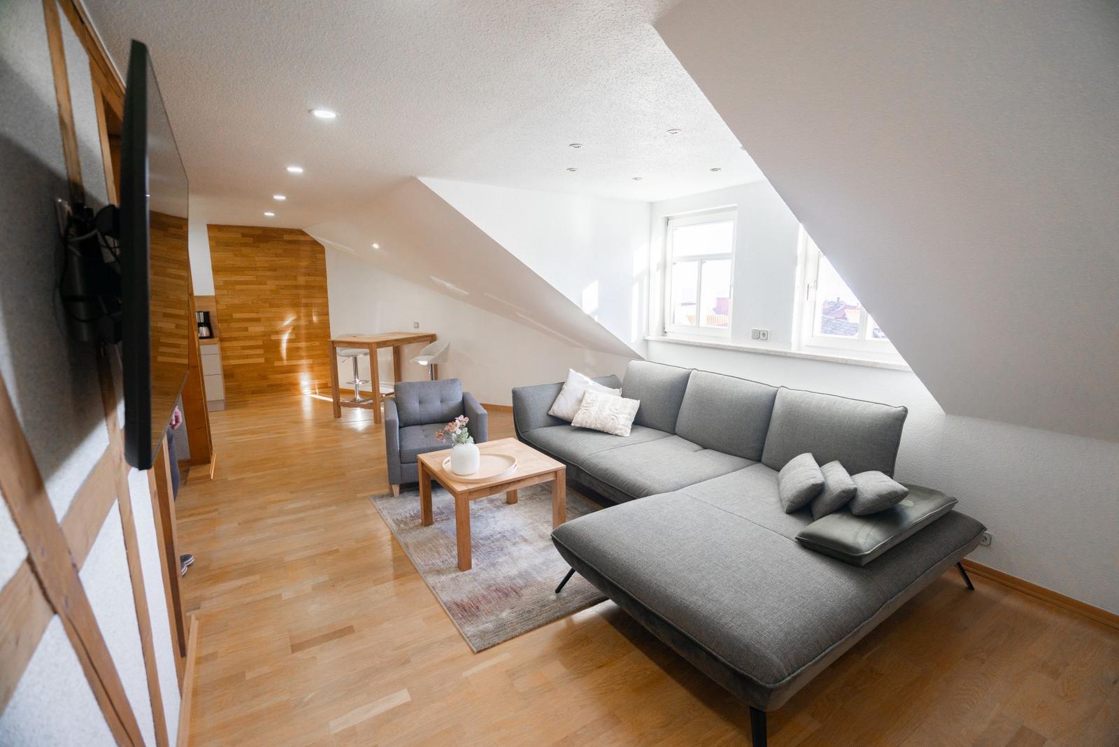 Modernes Wohnzimmer der Ferienwohnung Bergmoment in Blankenburg Harz mit Sofa, Dachschraege und offenem Wohnkonzept.