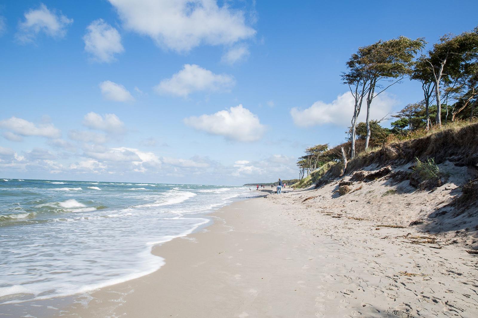 Strand mit Sand, Wellen und Bäumen an der Küste.