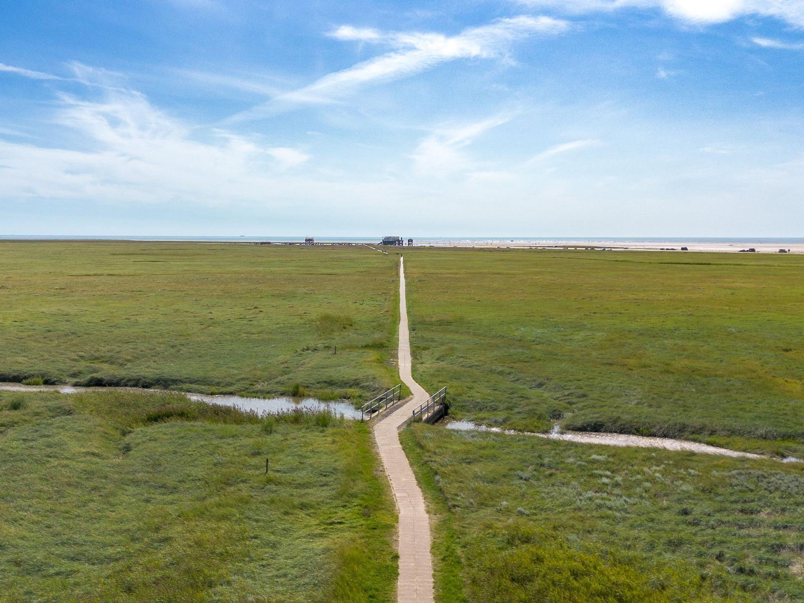 Eine Straße führt durch eine grüne Wiese zum Strand. Im Hintergrund ist das Meer zu sehen.