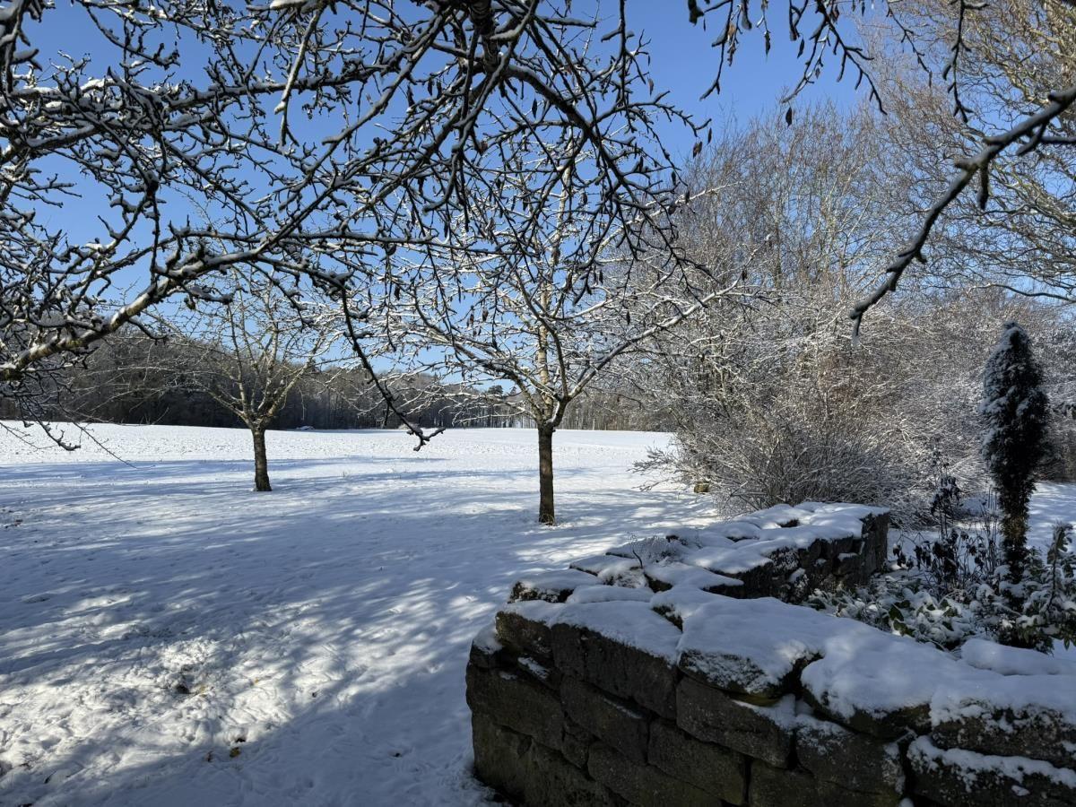 Der rund 600 m² große Garten mit unverbaubarem Blick auf Feld und Wald ist 1,20 m hoch umzäunt.