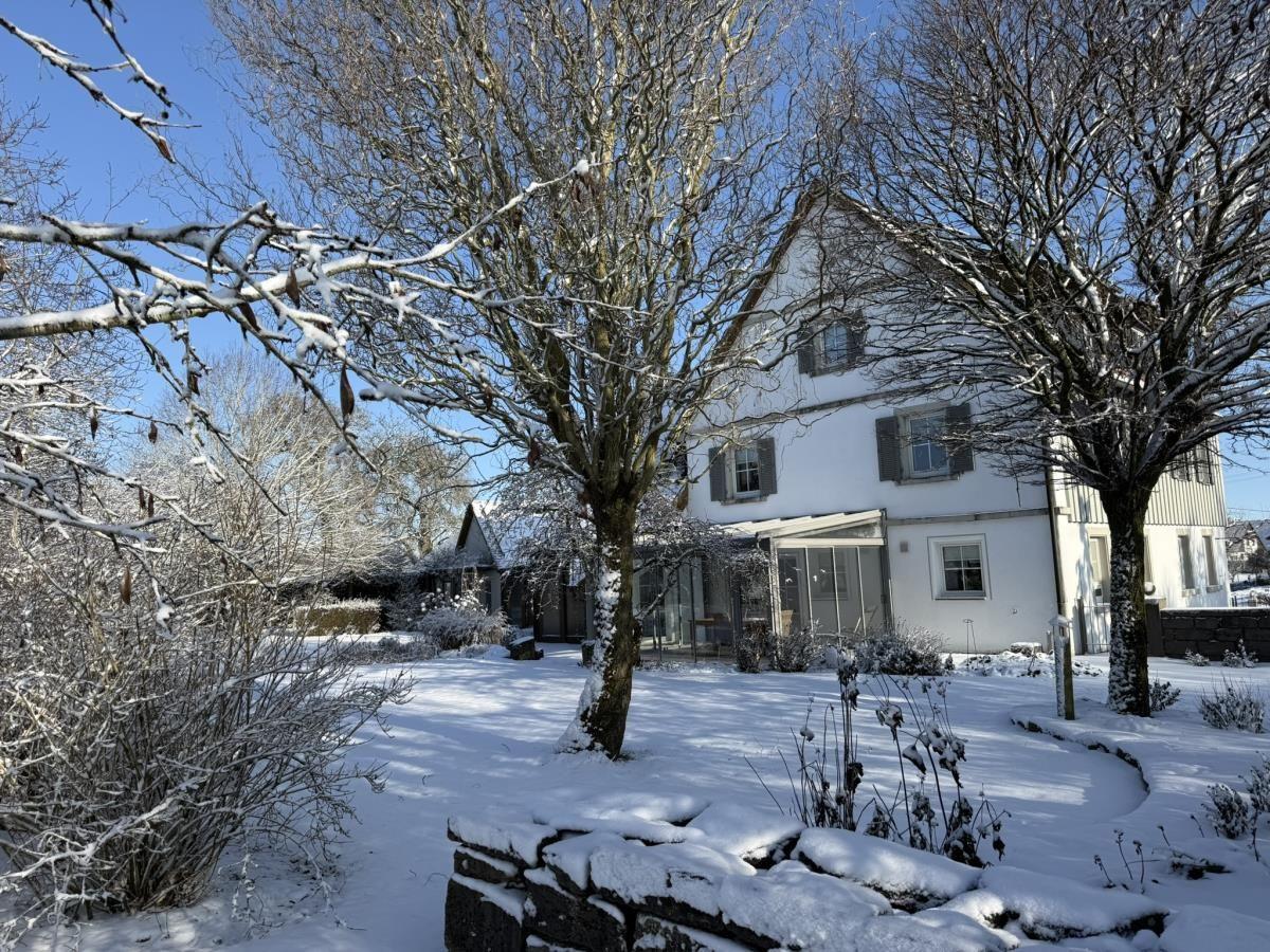 Wohnhaus mit Schneebedecktem Garten und Bäumen im Winter.
