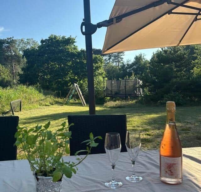 Table with bottle and glasses under umbrella in garden with greenery and playground equipment.