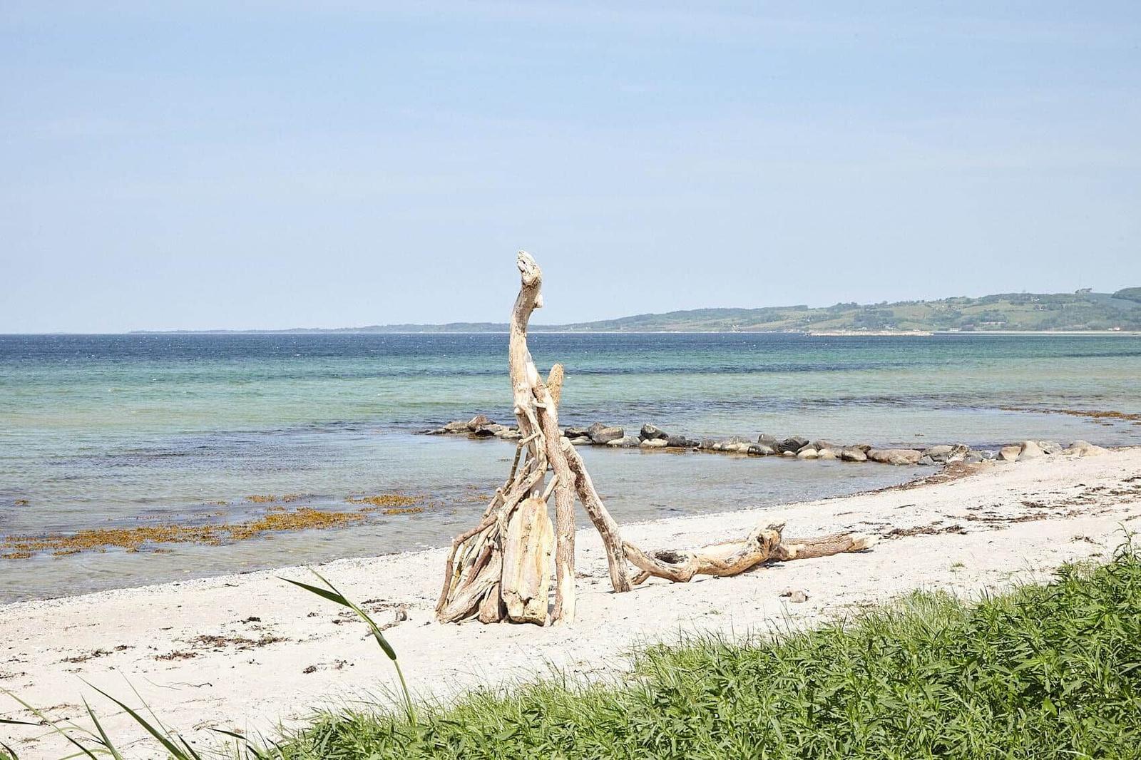 Beach with white sand, sea, and driftwood. Holiday home directly by the water.