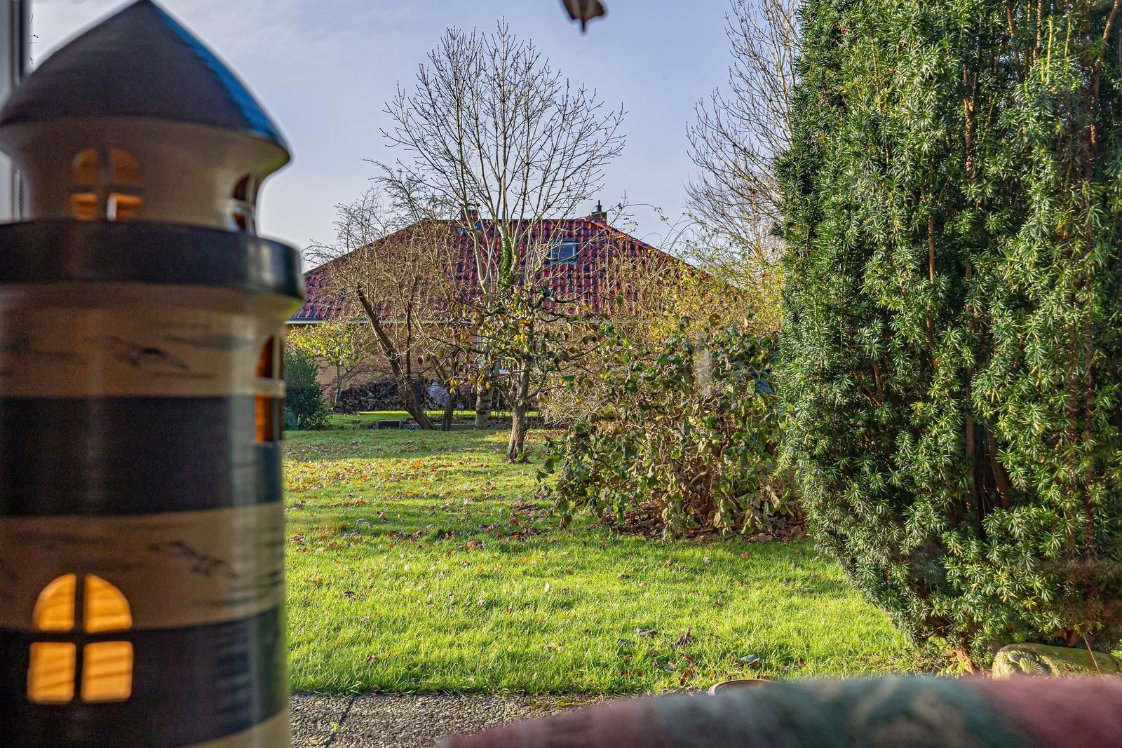 Vorgarten mit Grasfläche, Bäumen und einem Gartenhaus im Hintergrund.