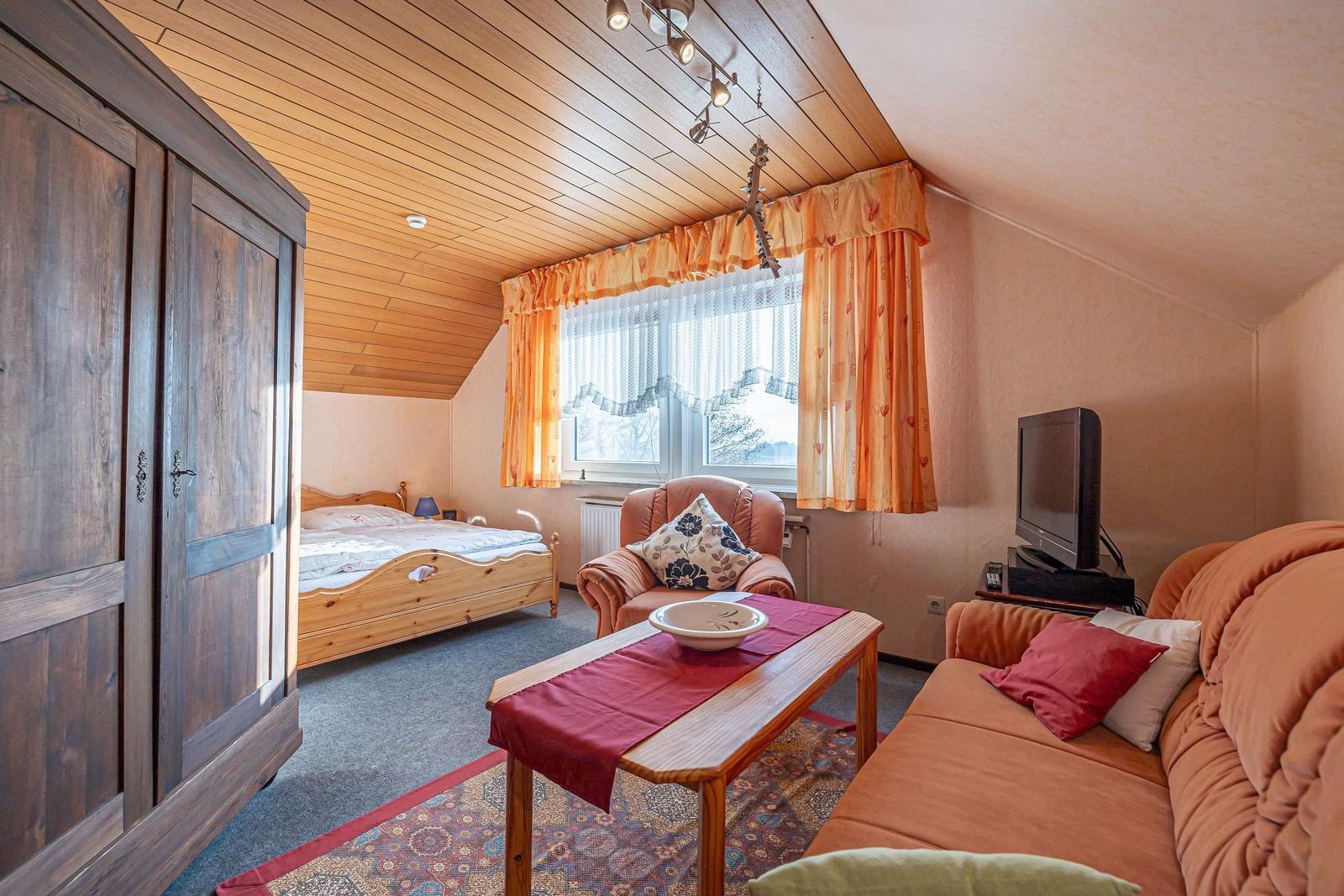 Schlafzimmer mit Bett, Kleiderschrank und Wohnbereich mit Sofa und Fernseher.