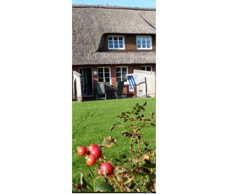 Haus mit Strohdach, Terrasse und Garten. Vordergrund: rote Beeren an einem Strauch.